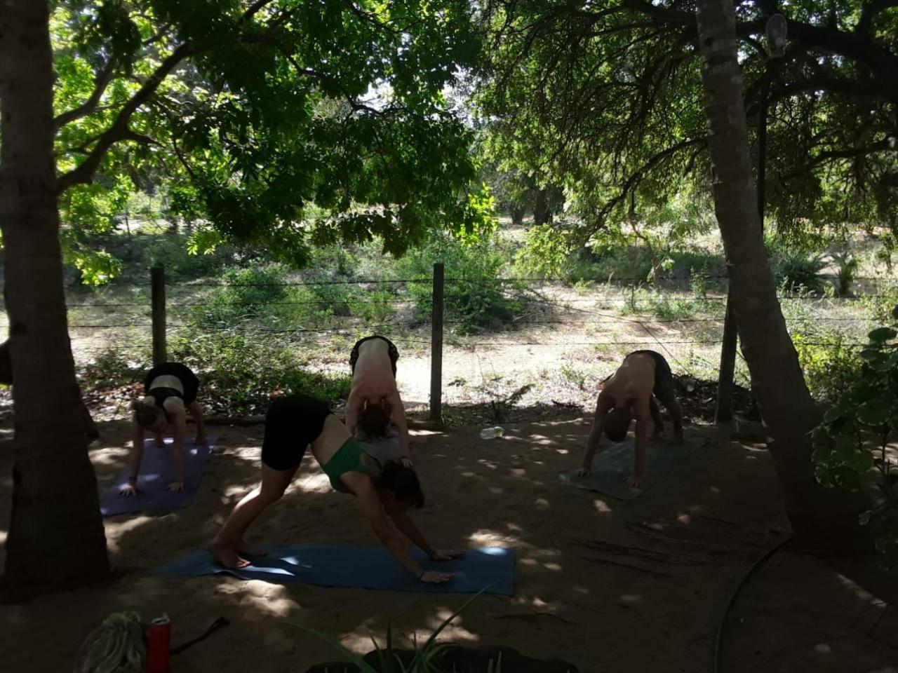 Hangover Hostels Arugam Bay Εξωτερικό φωτογραφία